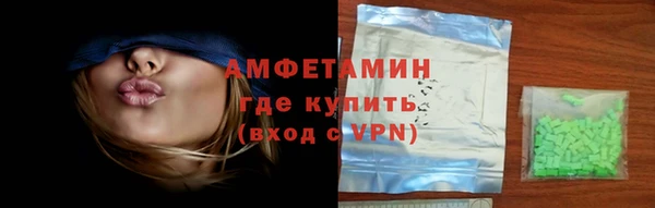 сатива Беломорск