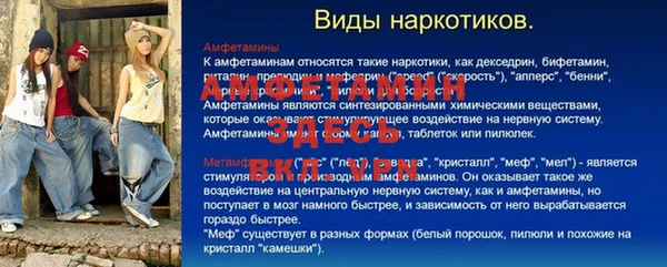 сатива Беломорск