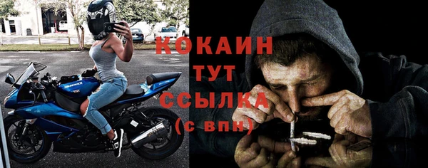 сатива Беломорск