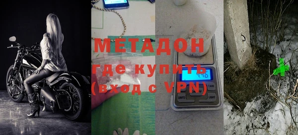 сатива Беломорск