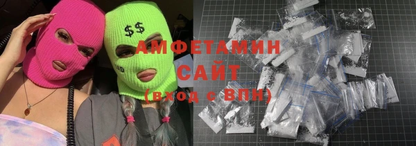 сатива Беломорск