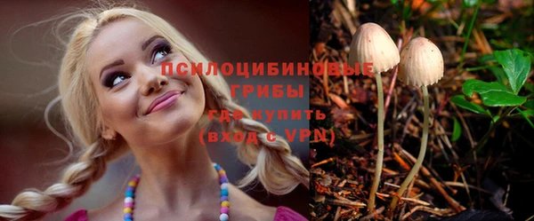 амфетамин Белокуриха